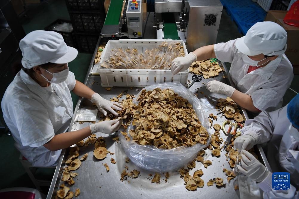 美高梅开户网址